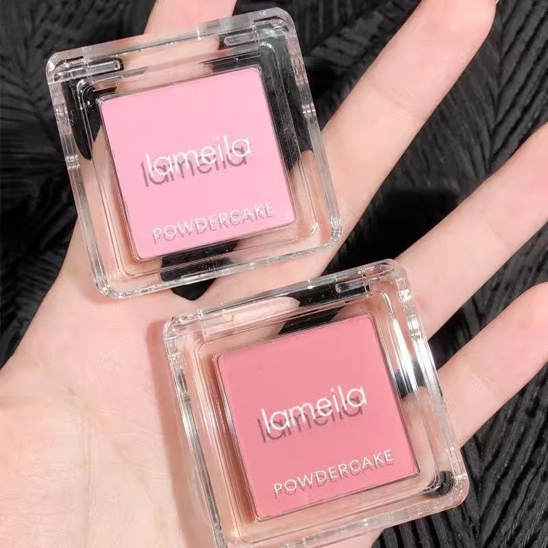 Nude eyeshadow and blush palette - applied look